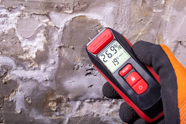 Mold Removal and Inspection in Huntsville, TN