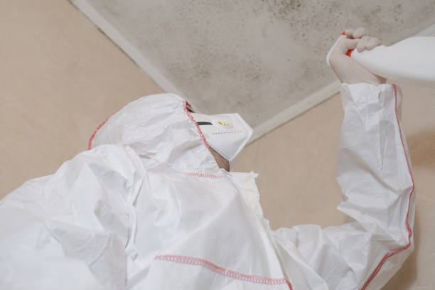 Best Fast Mold Removal  in Huntsville, TN